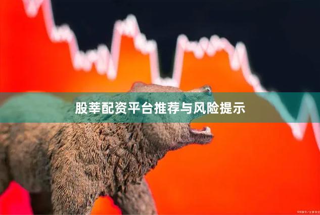 股莘配资平台推荐与风险提示